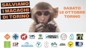 Sabato 12 ottobre  il corteo per salvare i 6 macachi di Torino