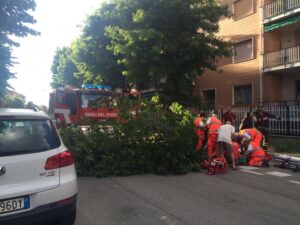 Ciriè, dopo l’incidente il Comune dà il via al controllo degli alberi