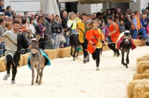 “Nessuna forma di sfruttamento di animali”: addio al Palio degli asinelli