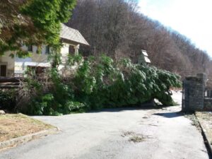 Diversi alberi abbattuti dalle raffiche di vento.  Danni alla rete elettrica a Ceres