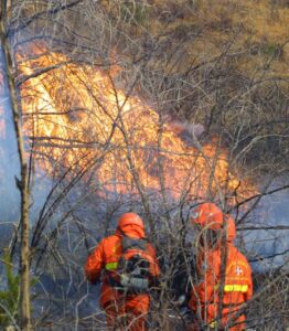 Emergenza incendi boschivi in Piemonte