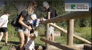 L’immersione sensoriale nella natura del Parco La Mandria -VIDEO-
