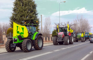 Passa il progetto della variante alla ss 460, Coldiretti: «Devastante per l’agricoltura e senza accogliere le osservazioni delle aziende agricole»